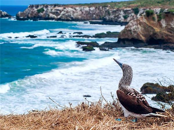 Galapagos Islands vacation