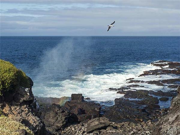Galapagos Islands vacation