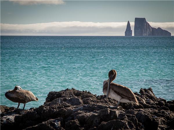Galapagos Islands walking vacation