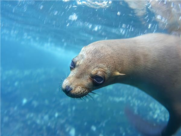 Galapagos Islands walking vacation