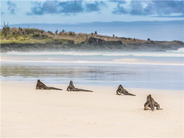 Galapagos Islands walking vacation