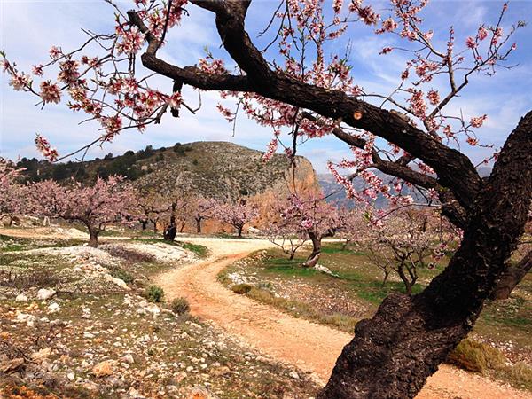 Sierra de Aitana walking vacation in Spain