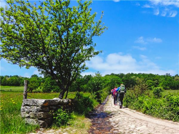 Camino de-Santiago trekking vacation in Spain