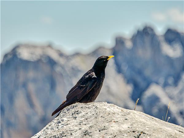 Picos mountains walking vacation in Spain