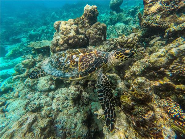 Maldives budget small group tour