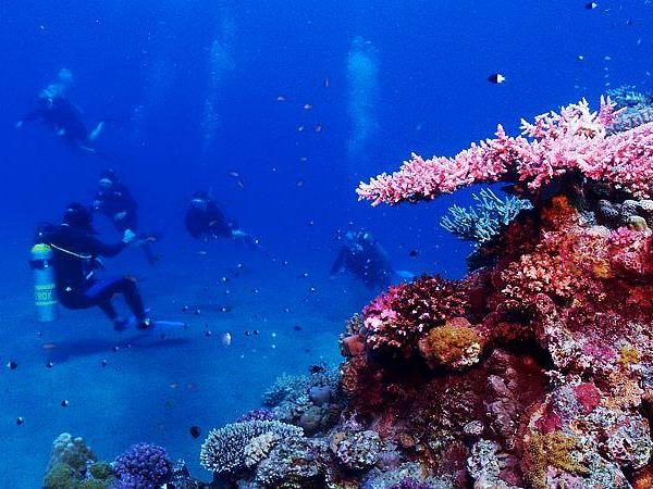 Egypt & Jordan small group tour