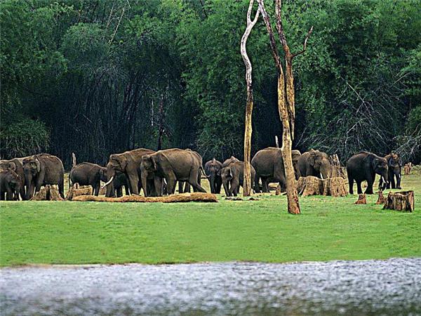 Southern India small group vacation