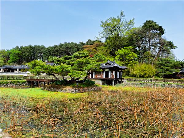South Korea discovery tour