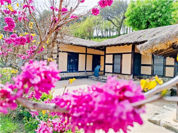South Korea discovery tour