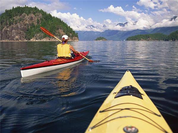 British Columbia wildlife holiday, whales and bears