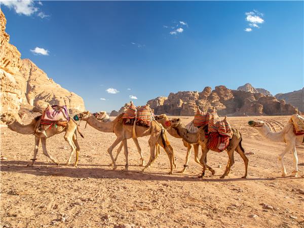 Jordan luxury adventure tour