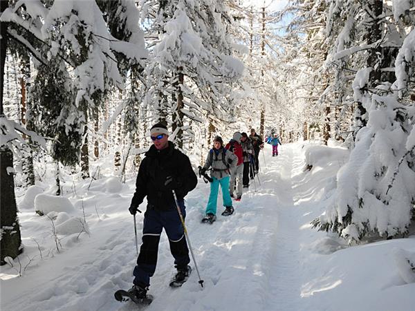 Tatra mountains winter activity week in Slovakia