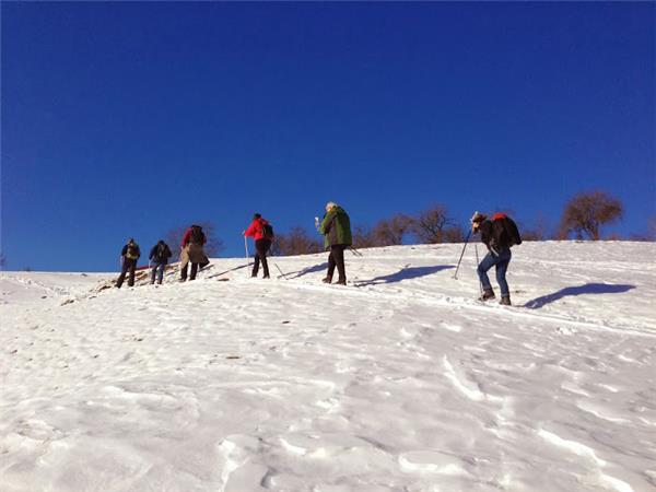Transylvania winter walking & snowshoeing vacation