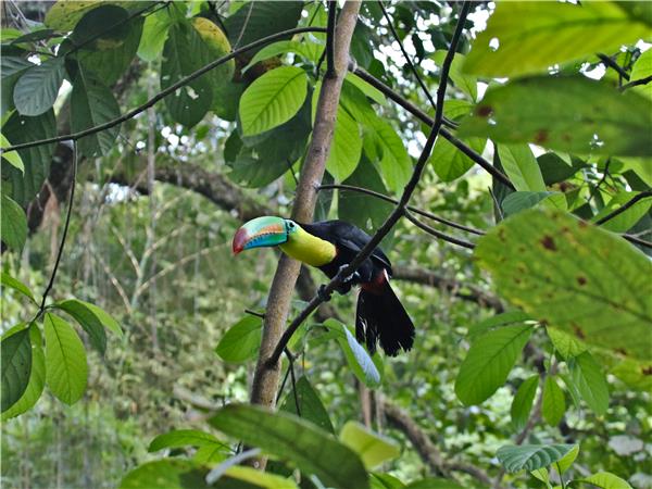 Colombia small group discovery tour