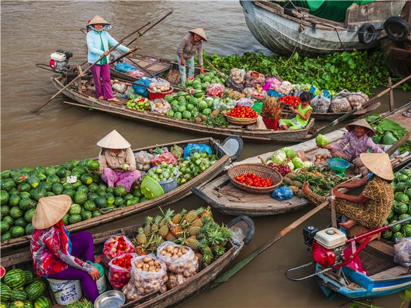 Vietnam activity vacation