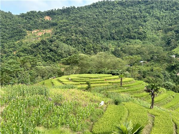 Vietnam activity vacation