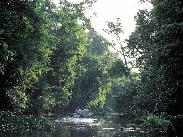 Borneo wildlife vacation