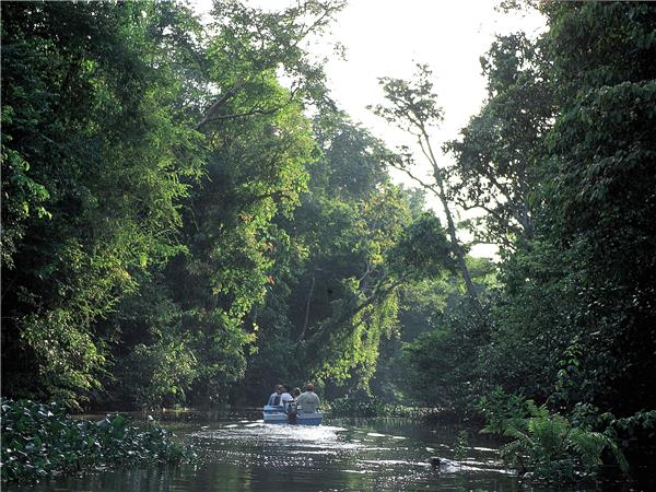 Borneo wildlife vacation