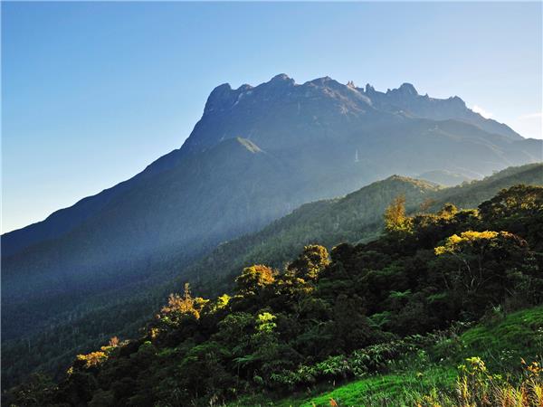Borneo wildlife vacation