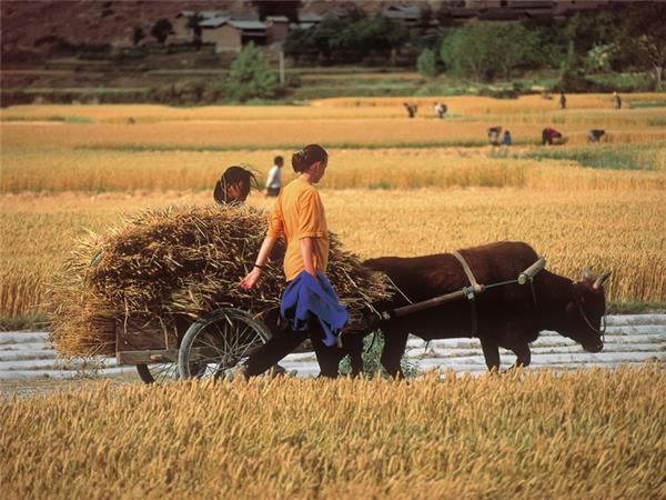 Vietnam adventure vacation