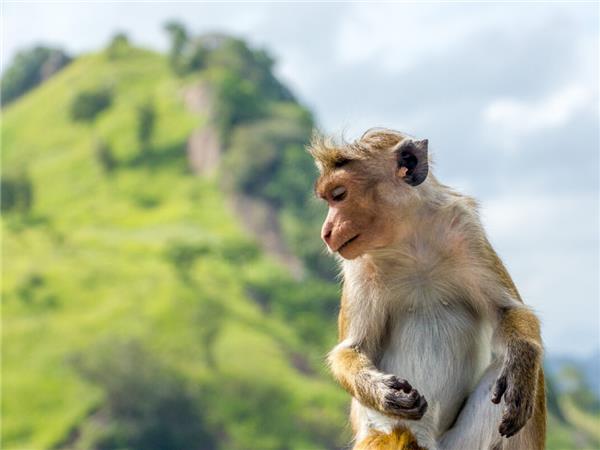 Sri Lanka cycling vacation, off the beaten track