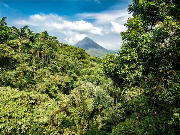 Costa Rica adventure and wildlife vacation