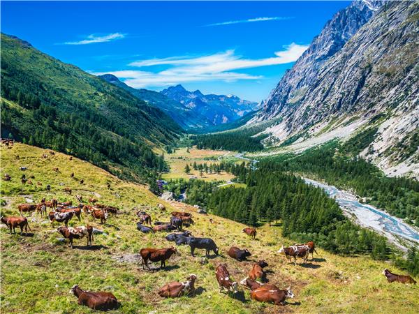 Mont Blanc Circuit trek, with hotel accommodation