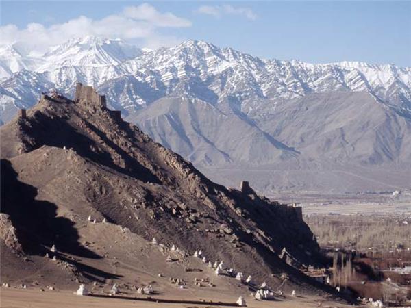 Snow Leopard searching vacation in Ladakh
