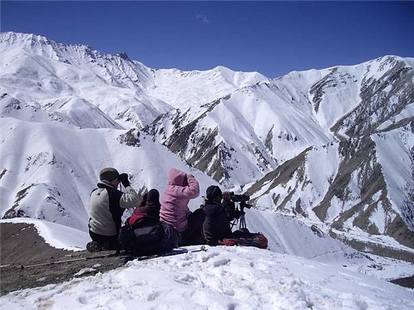 Snow Leopard searching vacation in Ladakh