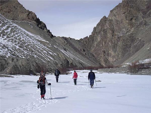 Snow Leopard searching vacation in Ladakh