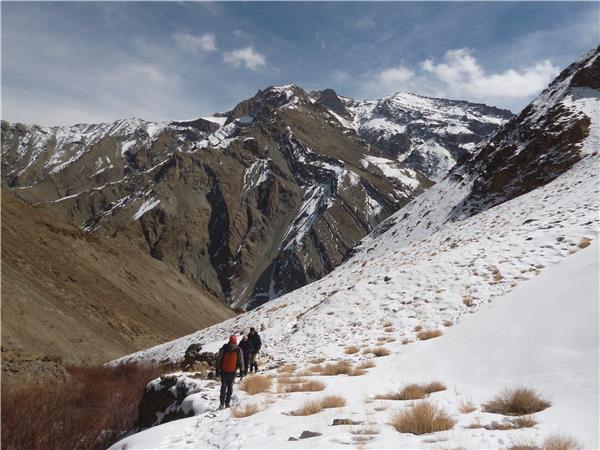 Snow Leopard searching vacation in Ladakh