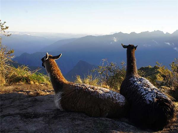 Hiking the Inca trail vacation