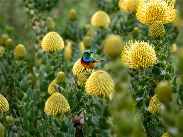 South Africa Garden Route luxury vacation