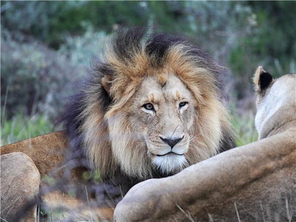 South Africa Garden Route luxury vacation