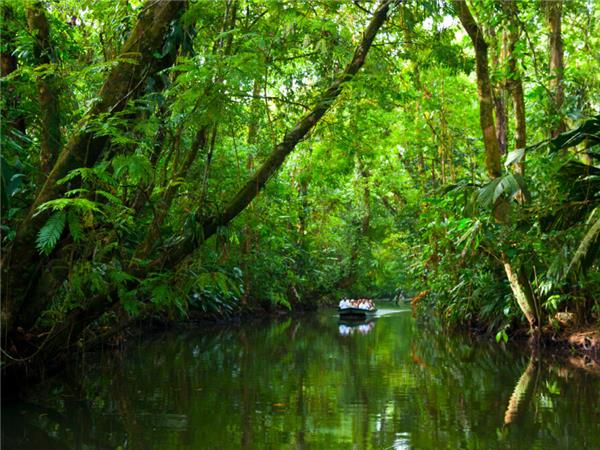 Costa Rica wildlife holiday, Coastal Secrets