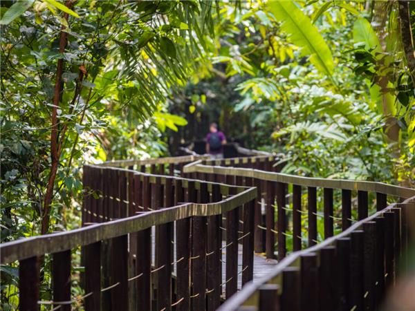 Costa Rica wildlife holiday, Coastal Secrets