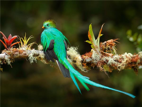 Costa Rica wildlife holiday, Coastal Secrets
