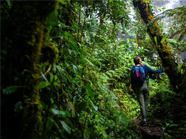 Costa Rica wildlife holiday, Coastal Secrets