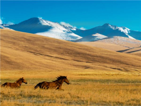 The five stans silk road vacation