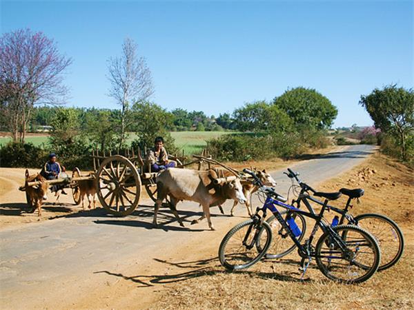 Burma biking vacation