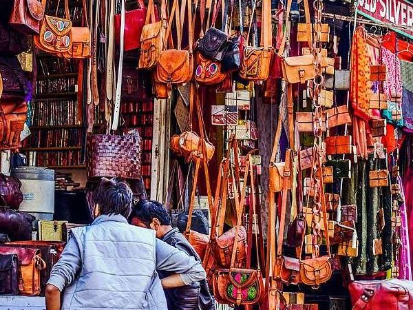 India small group, temples and palaces