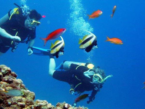 Egypt tour and beach break in Hurgada 