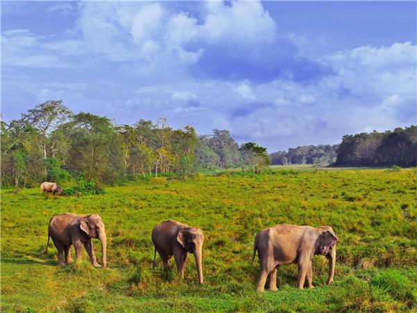 Classic Nepal vacation