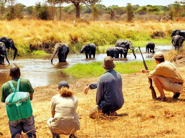 Kruger safari vacation in South Africa