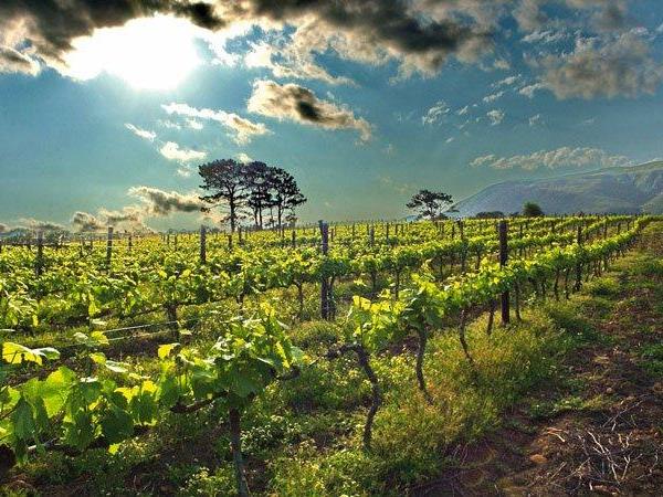 Garden Route tour, South Africa