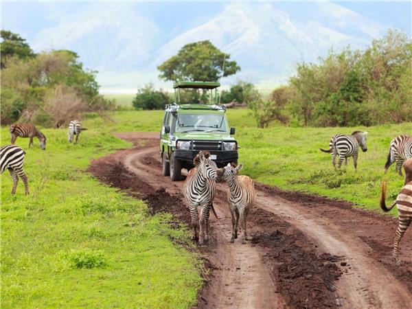 Tanzania small group tour, savannahs & sands