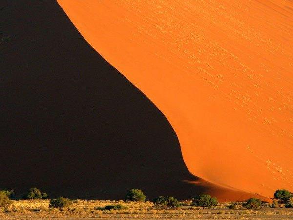 The Grand Southern Africa safari