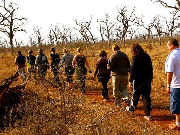 The Grand Southern Africa safari