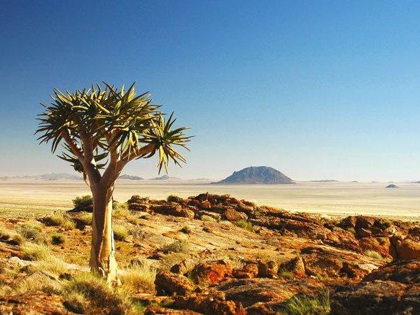 The Grand Southern Africa safari