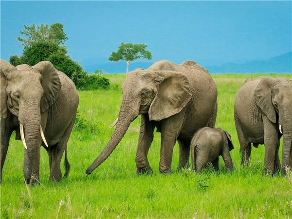 East African budget overland tour